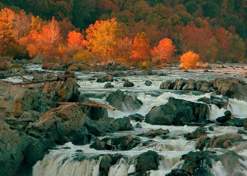 Great Falls, VA in Autumn